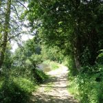 chemin du circuit VTT Plateau d'Herbet