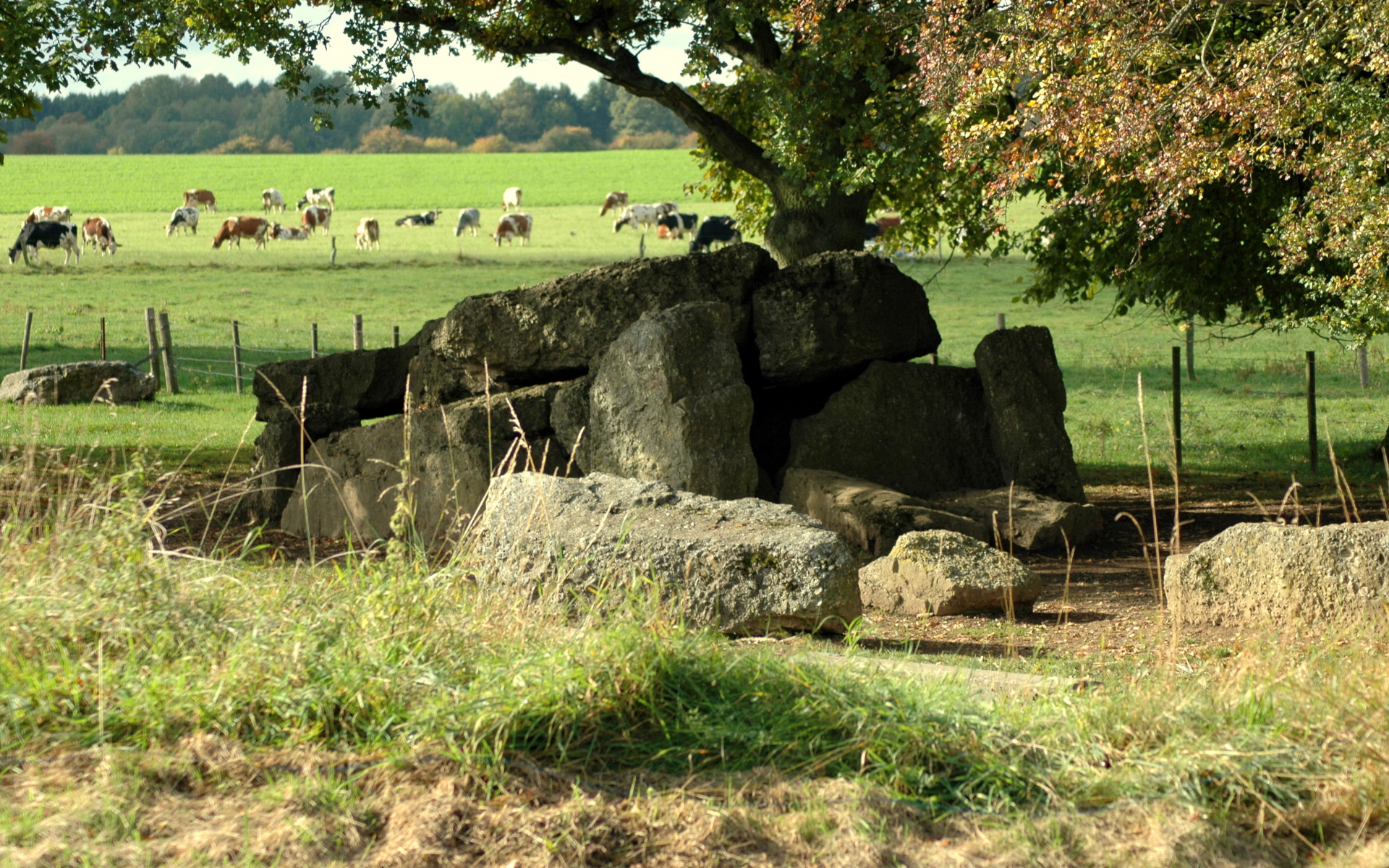 les pierres du dolmen de Wéris rencontré au cours du circuit vélo non balisé